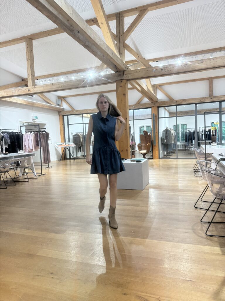 Frame The Denim Day Dress